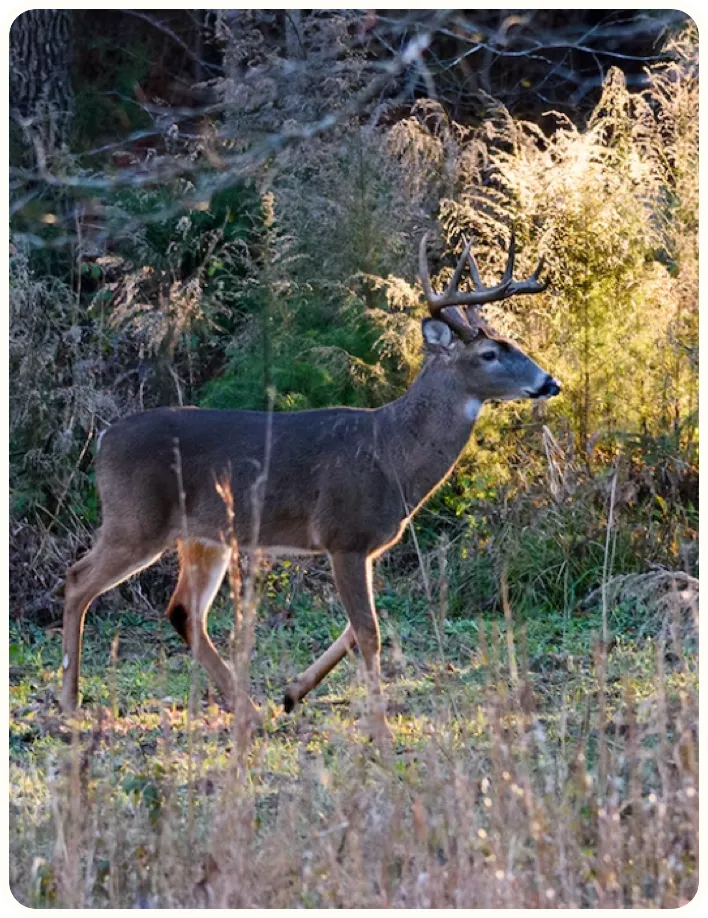 Book access to private land in Kansas • Landtrust