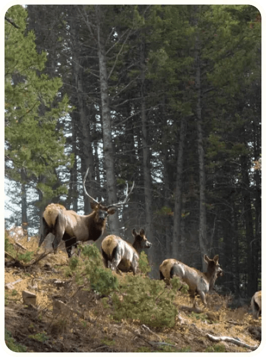 Book access to private land in Kansas • Landtrust