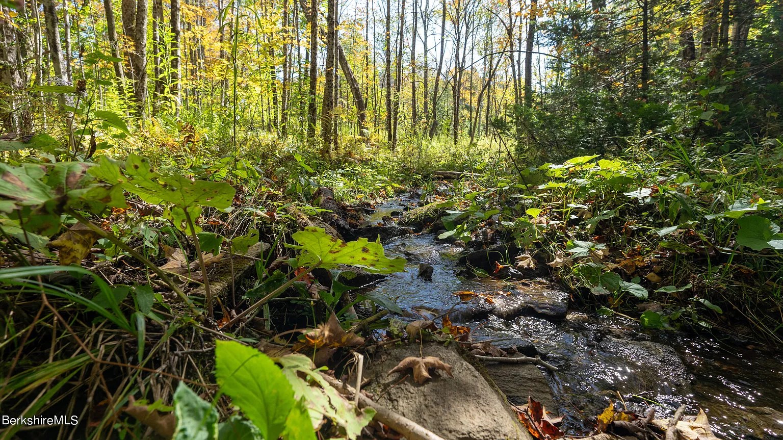 Breathtaking 6.62acre Wooded Lot Nestled in the Heart of the