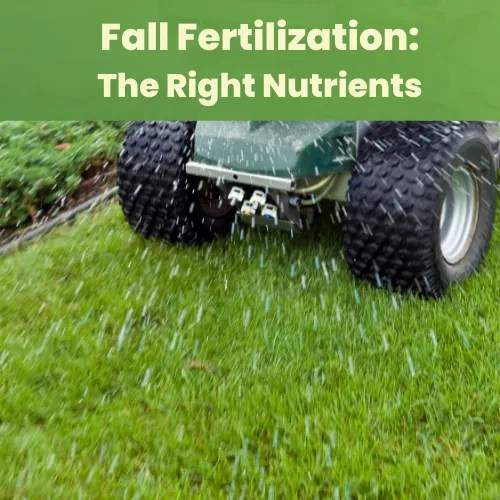 Fall Fertilization The Right Nutrients A Comprehensive Guide Landzie