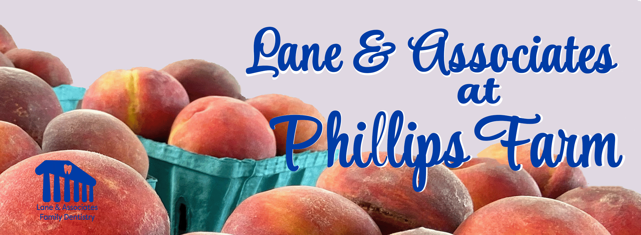 Lane and Associates at Phillips Farm Lane & Associates