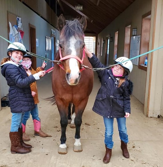 May and June Lessons Lane of Dreams Farm
