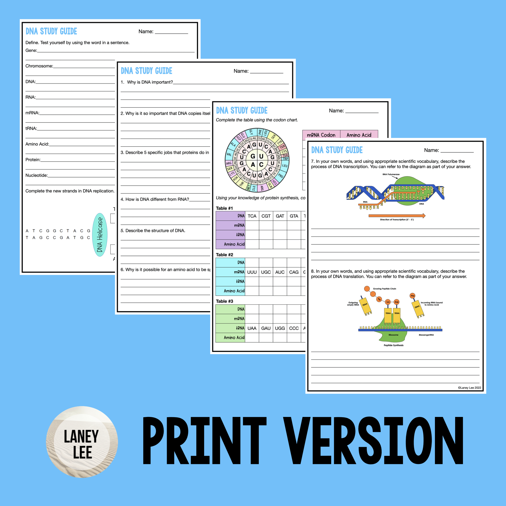 DNA Study Guide - Laney Lee