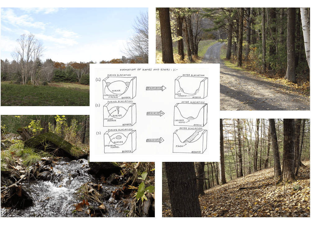 QUIET PLEASE FARM DESIGN & NATURE Lang