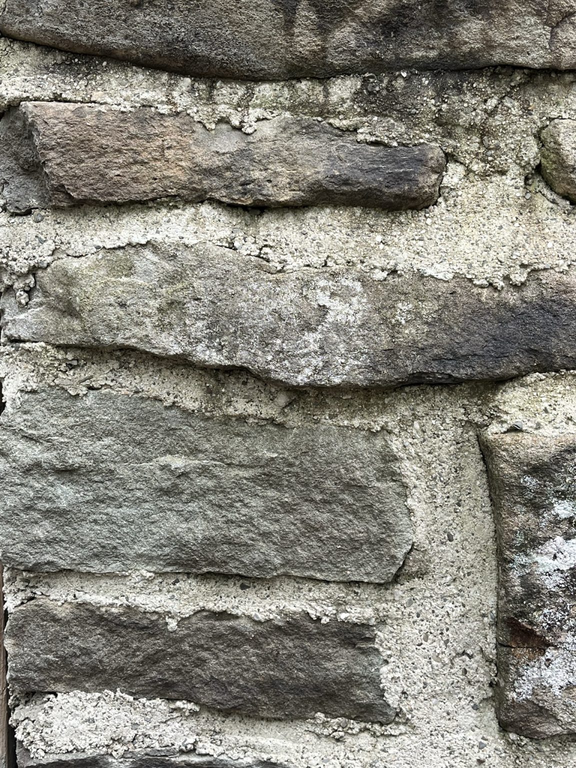 Kenoza Lake House Portfolio Lang