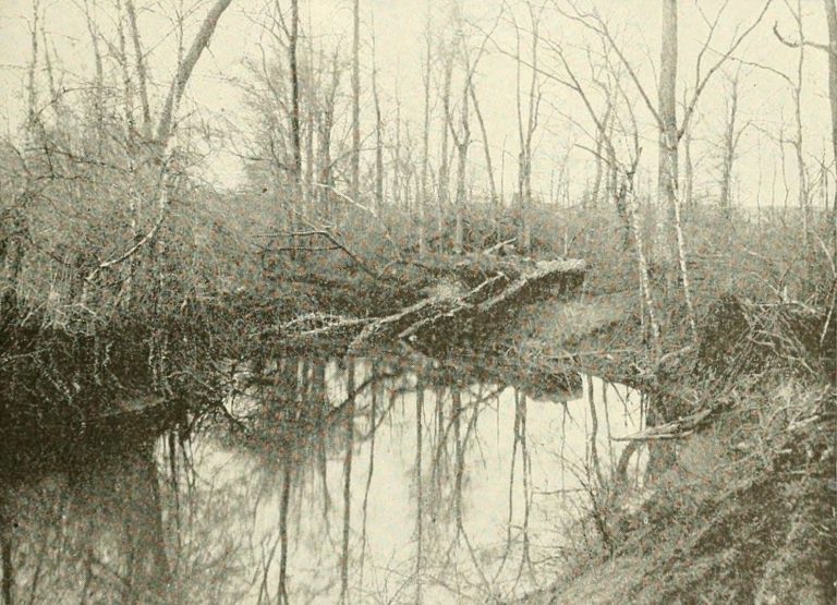 History Langhorne Golf