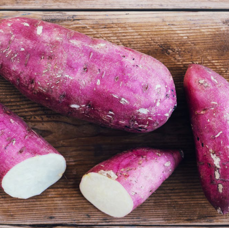 Sweet Potato Supplier Langplaas Sustainable Produce Farm