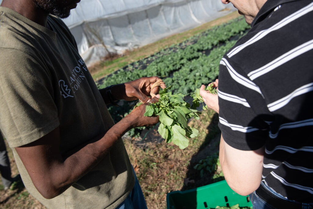 Haikus Celebrate Life at Langton Green Community Farm Langton Green