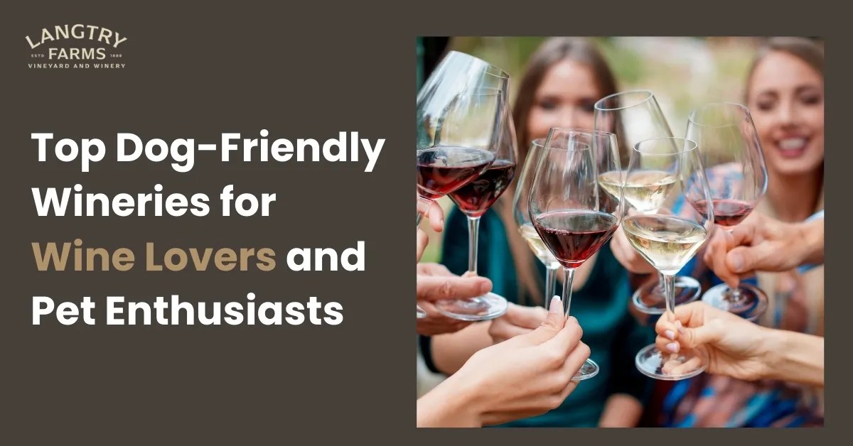 Top DogFriendly Wineries for Wine Lovers and Pet Enthusiasts