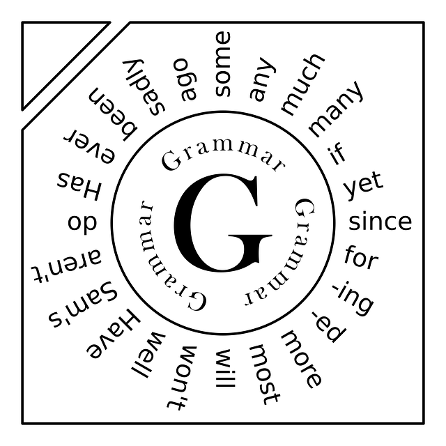 Grammar EBook 1 Language Advisor