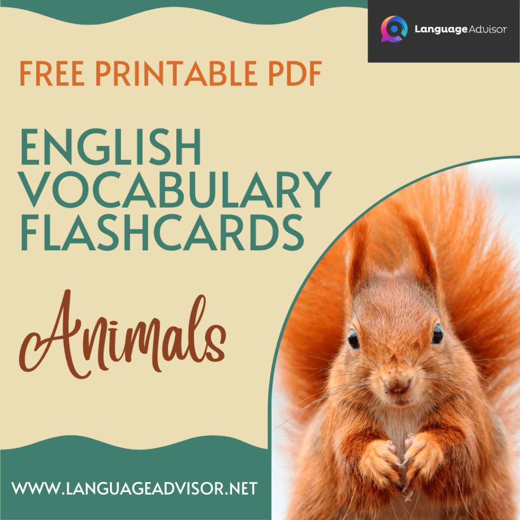English Vocabulary Flashcards Animals Language Advisor