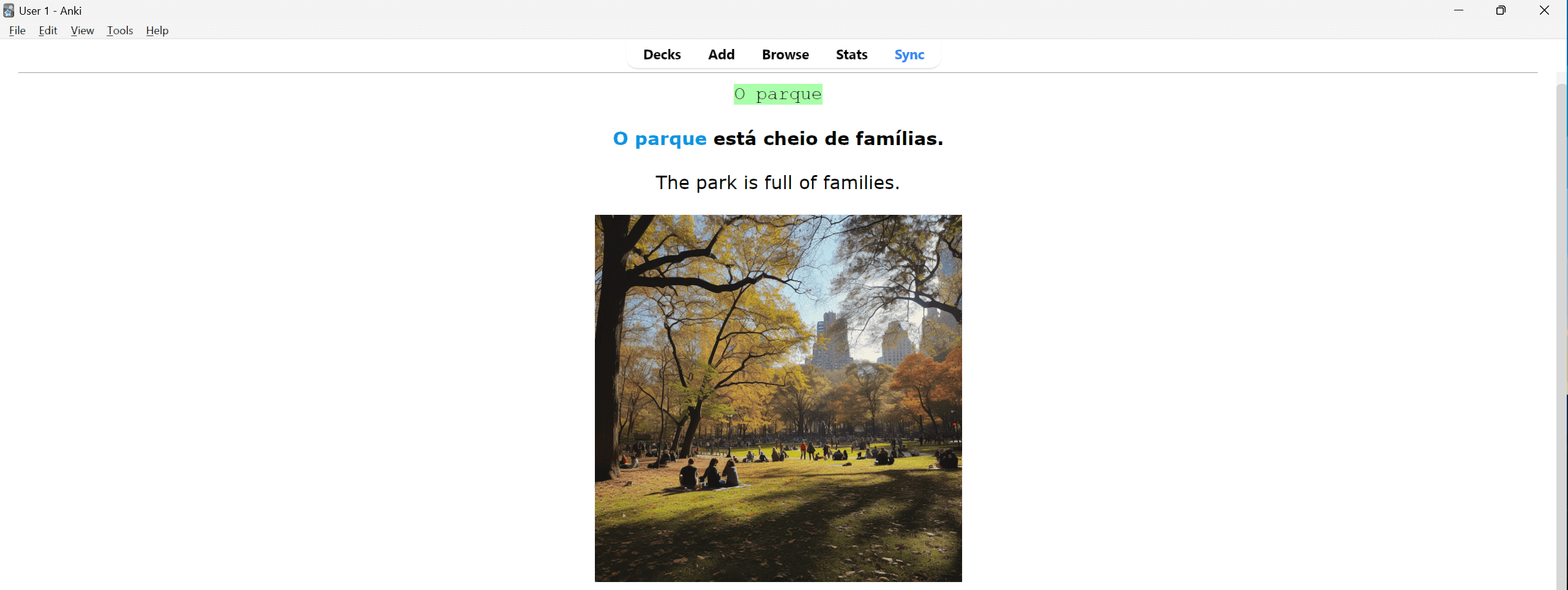Portuguese B1 Vocabulary Anki Language Atlas