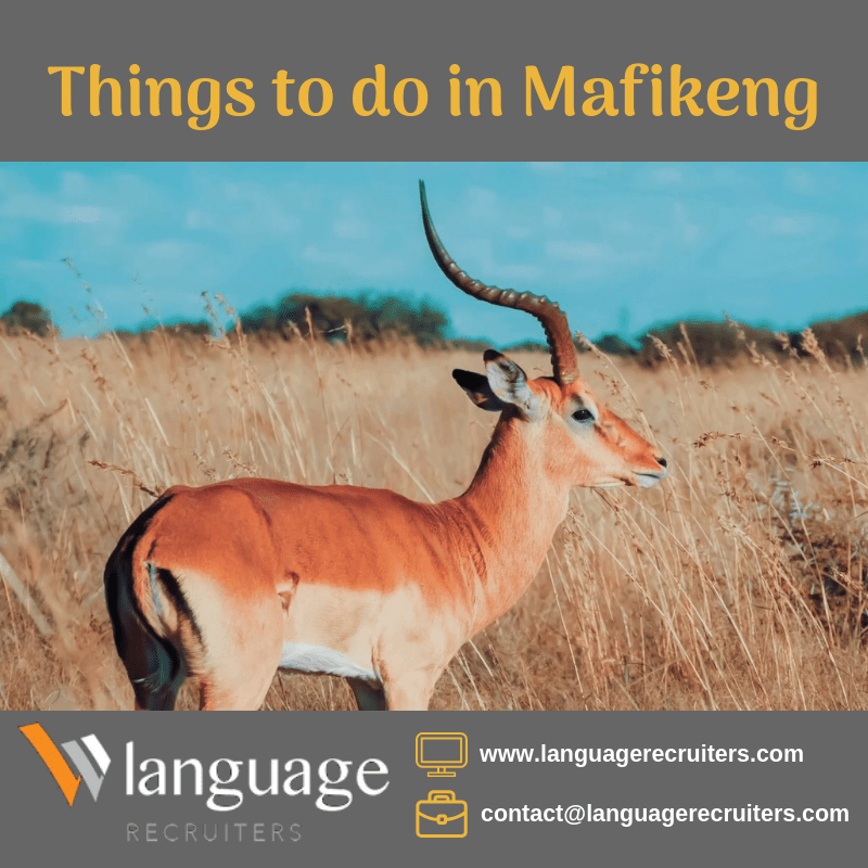 Things to do in Mafikeng