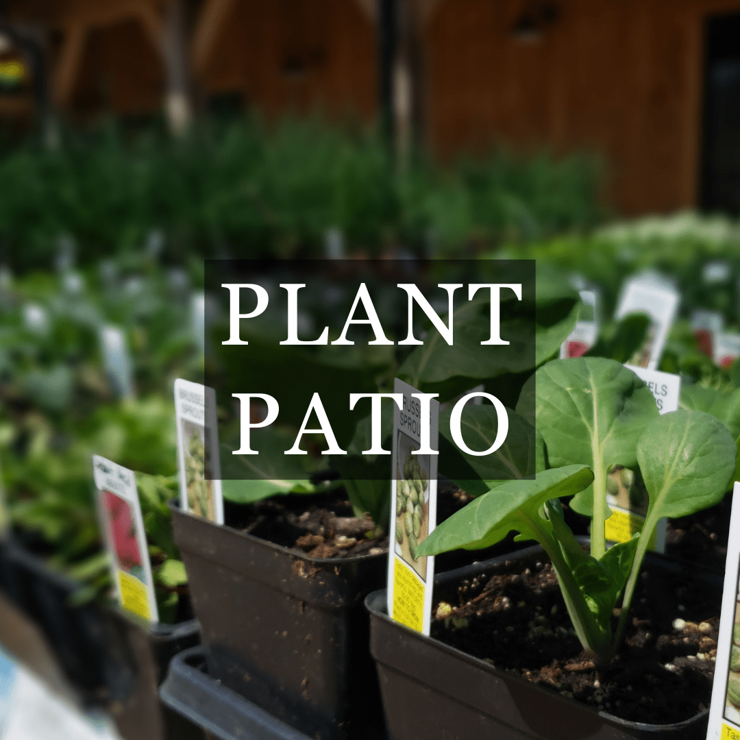 This Week the Farm Store Langwater Farm