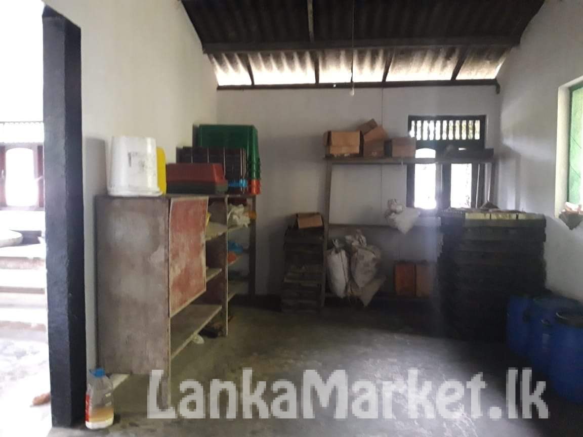 Bakery building for rent LankaMarket