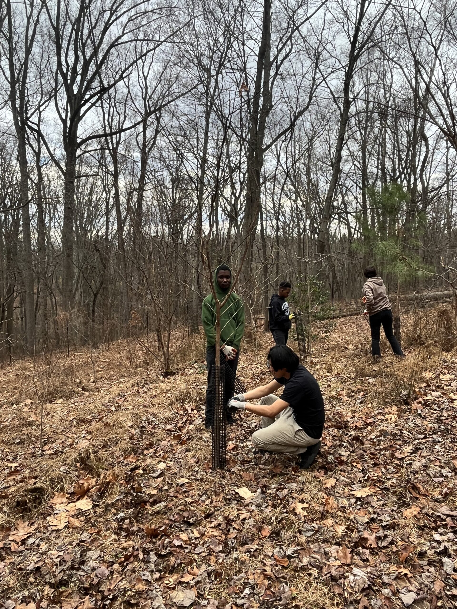 Athletic Information Lankenau Environmental Science High School