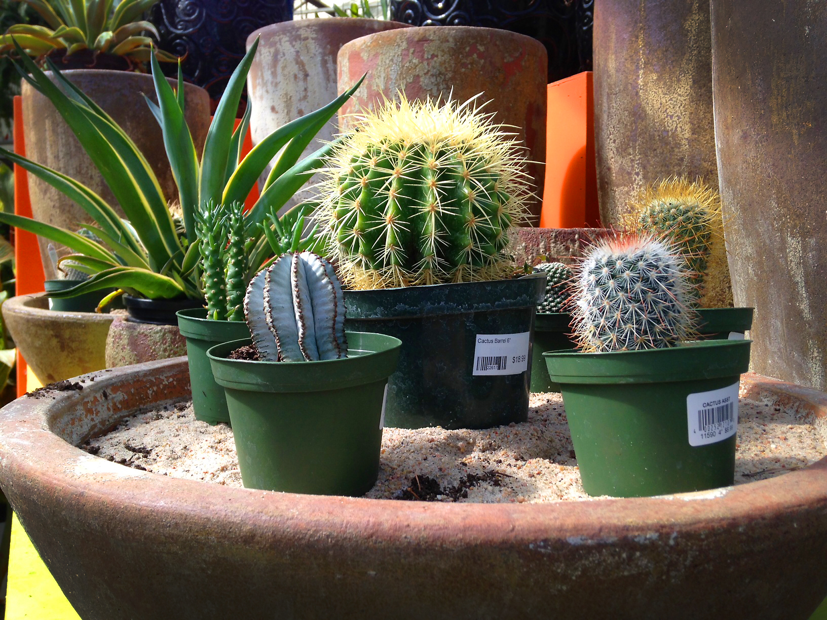 Garden Center Lanoha Nurseries