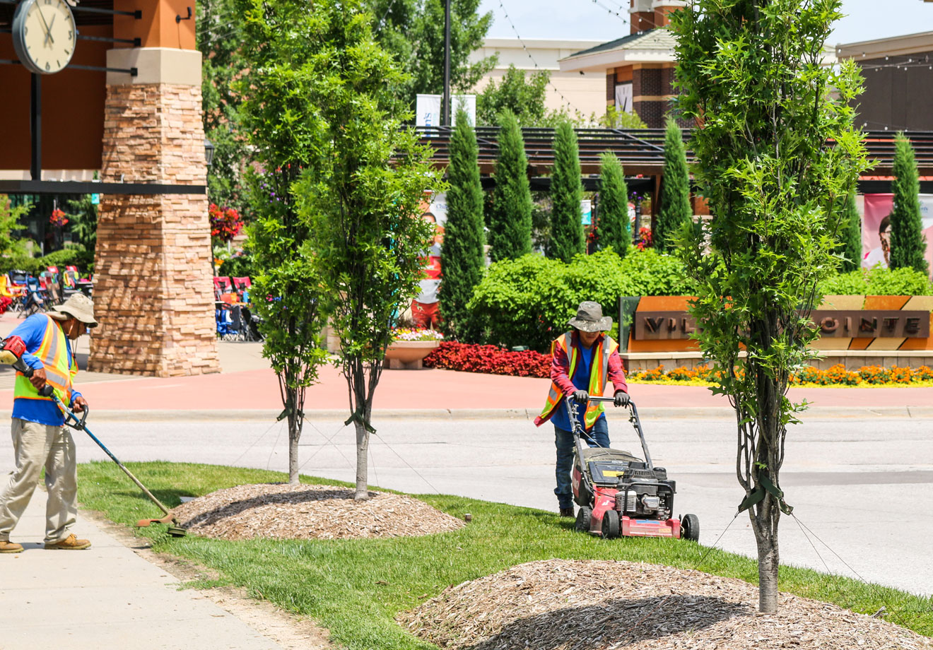 Landscape & Property Management Lanoha Nurseries