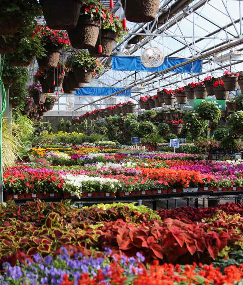 Garden Center Omaha Ne Fasci Garden