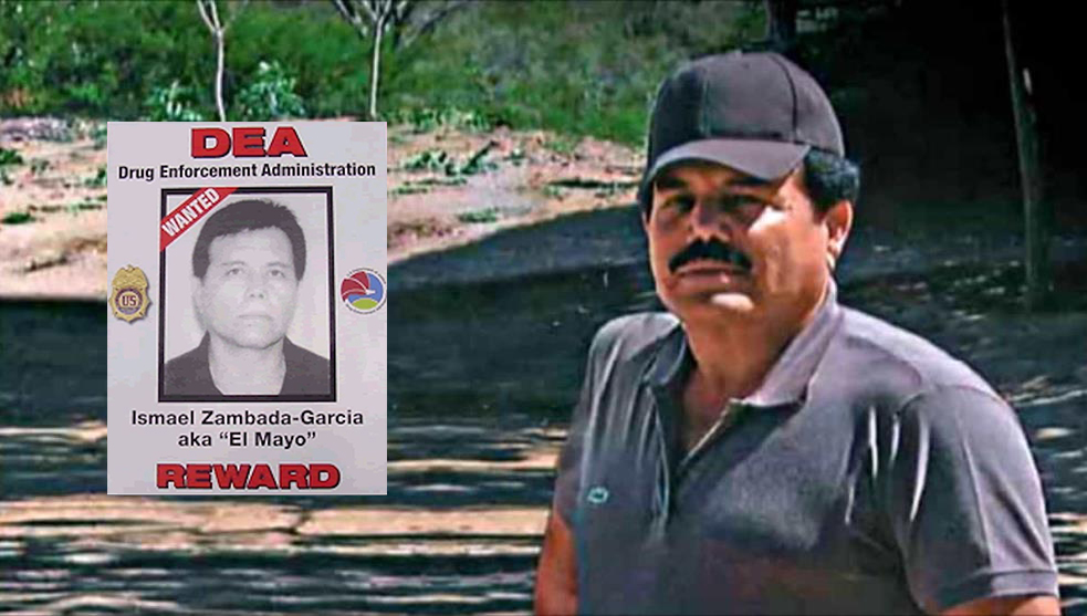 ‘El Mayo’ Zambada, el capo más buscado del mundo La Noticia