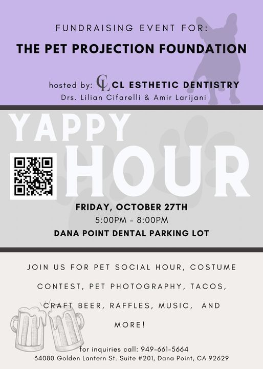 The Pet Project Foundation The Lantern Boys