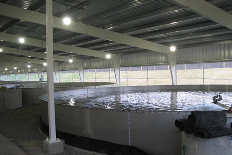 Coursey Springs Fish Hatchery Lantz Construction Company