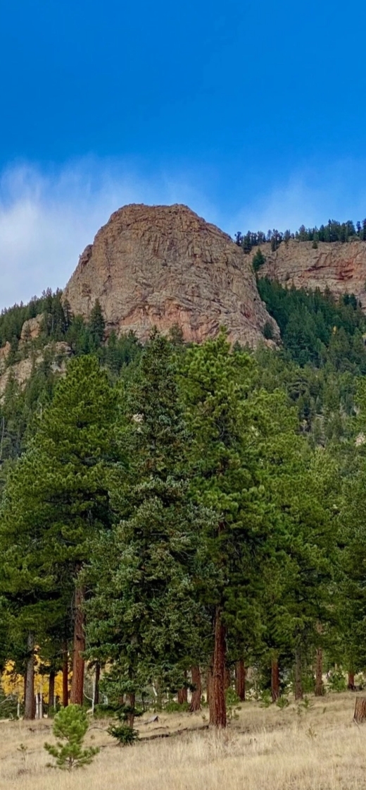 Business Lawyers in Colorado Lantz Law Group