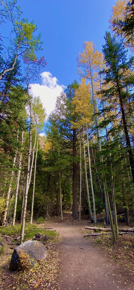 Business Lawyers in Colorado Lantz Law Group