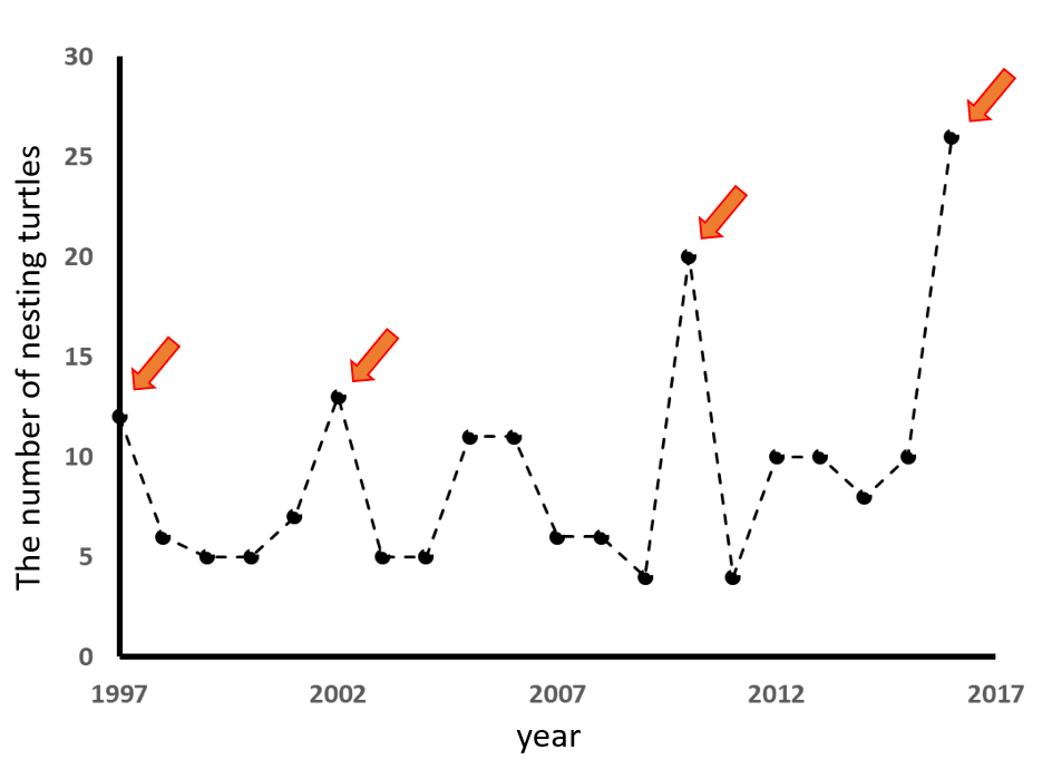 Sea turtles of Lanyu lanyu.land