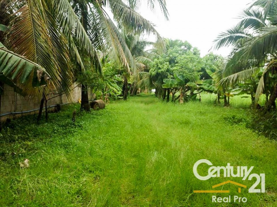 Century 21 Lanna Estate Land for sale at Sangkhou Village