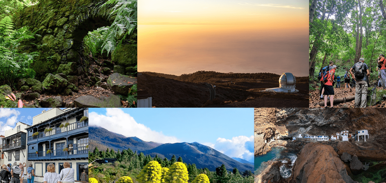 Nuestra programación La Palma Transfer & Tours