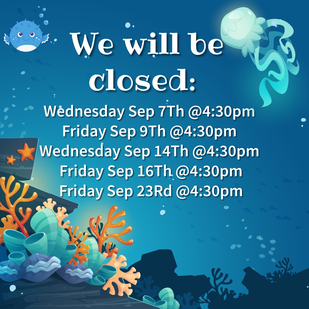 San Francisco Bay Area most exciting Indoor Playground and Birthday