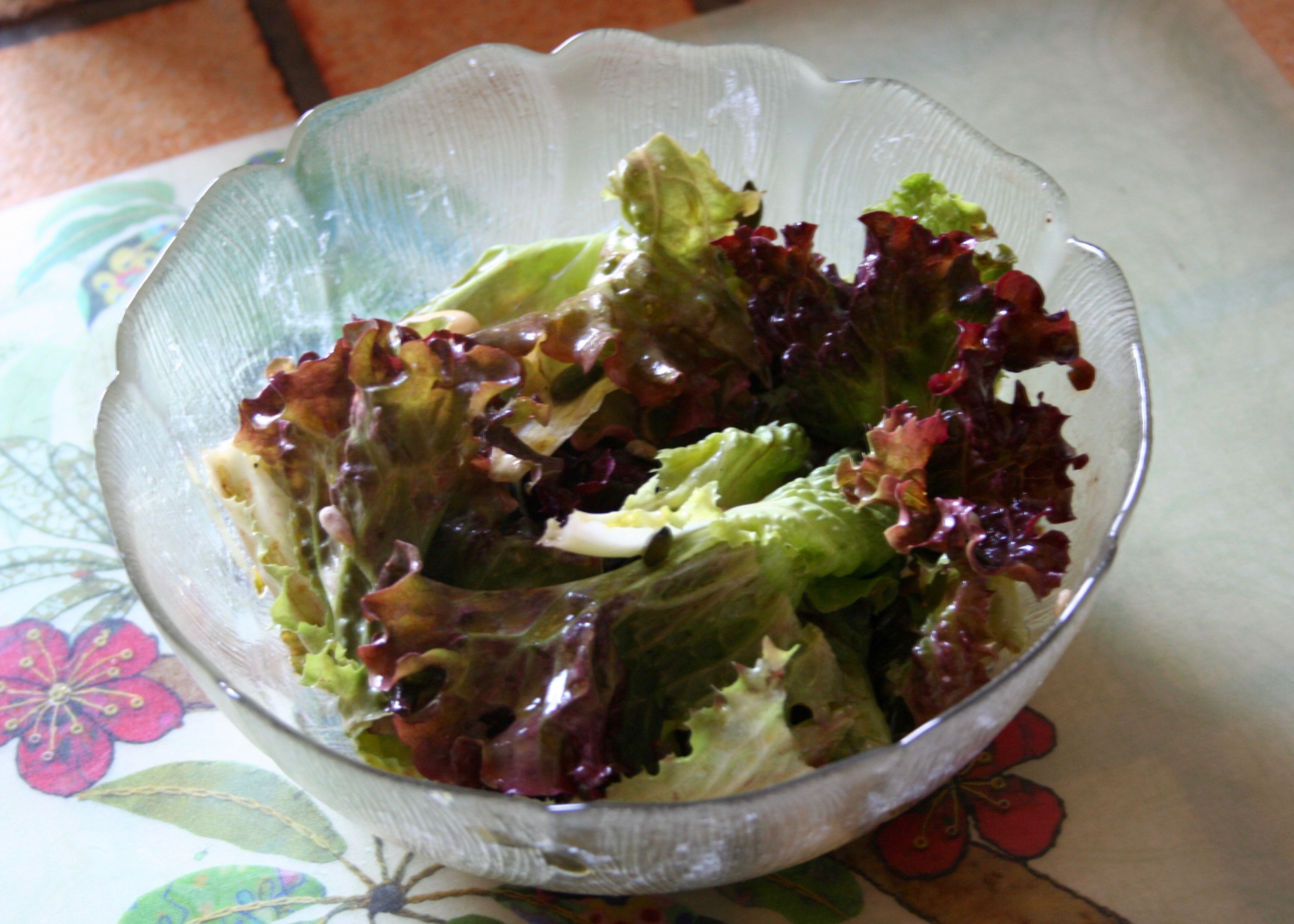 Laitue grenobloise lapetiterosette