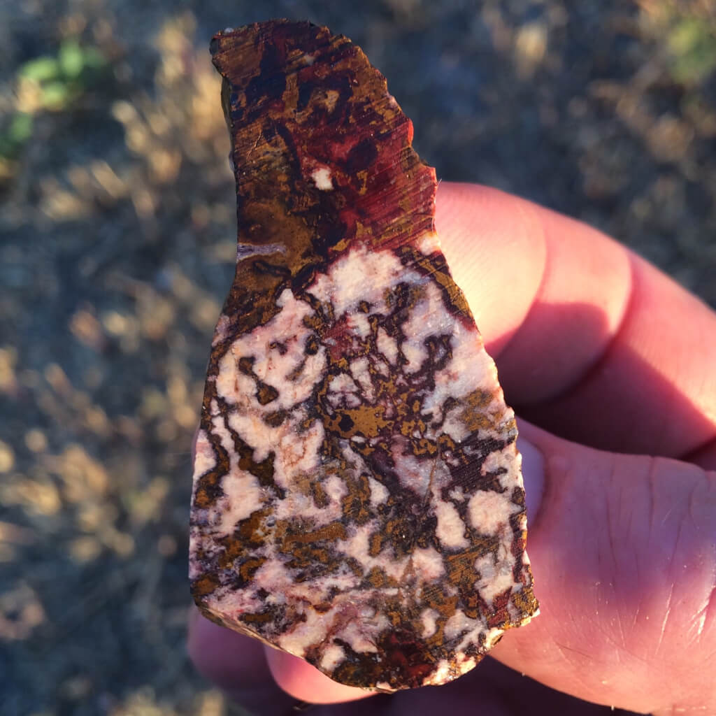 Indian Blanket Jasper Lapidary Slab