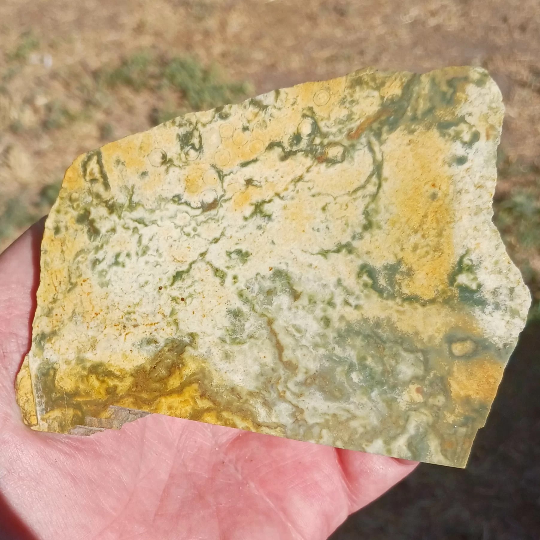 Utah Map Stone Lapidary Slab