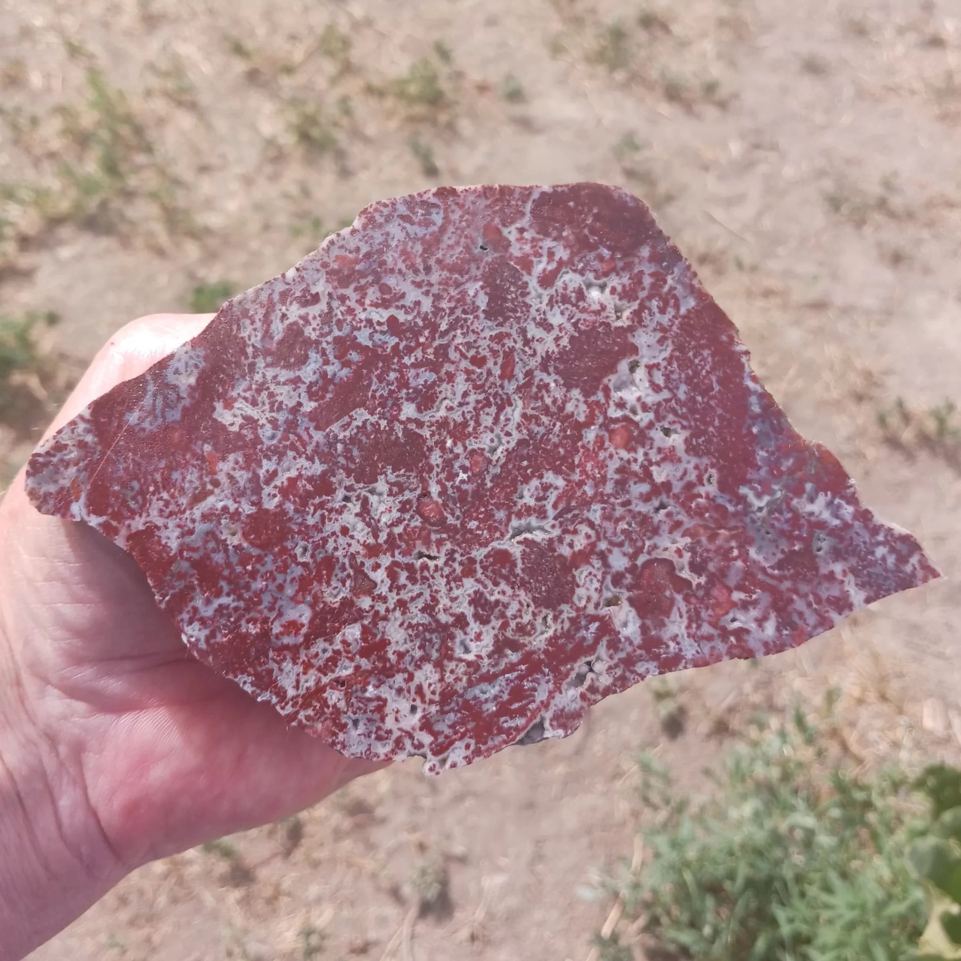 Red Lightning Agate Lapidary Slab
