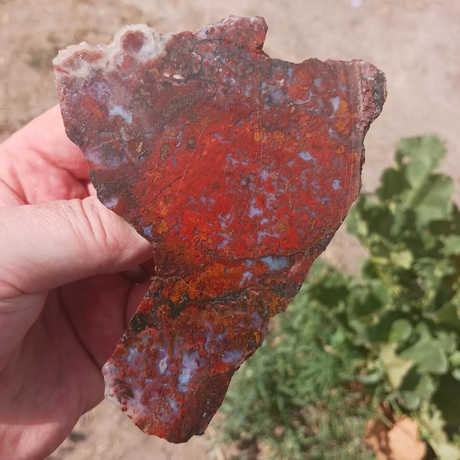 Red Lightning Agate Lapidary Slab