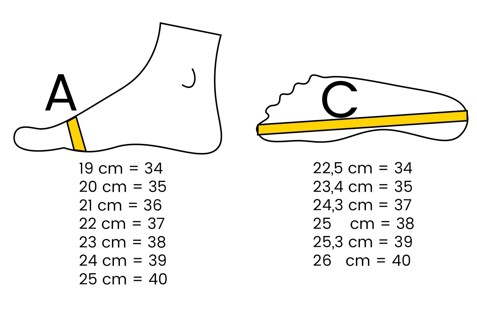 How To Find Your Shoe Size La Pivacci Dance Shoes