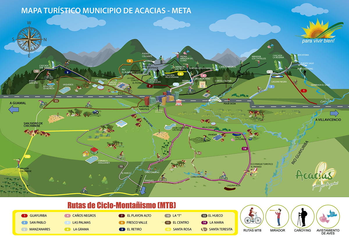 Acaciasparaquetequedes lapix
