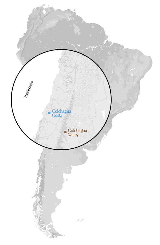 Tinga Map LaPlaya Wine