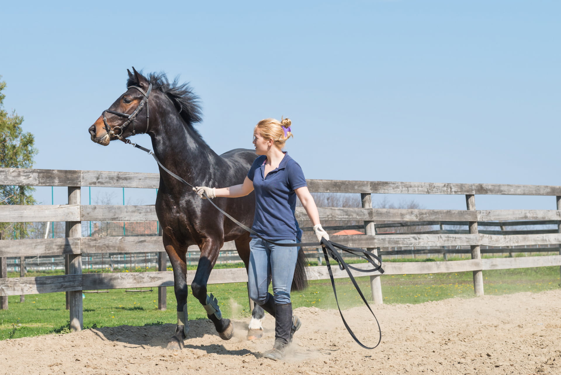 How Agile Is Your Horse?