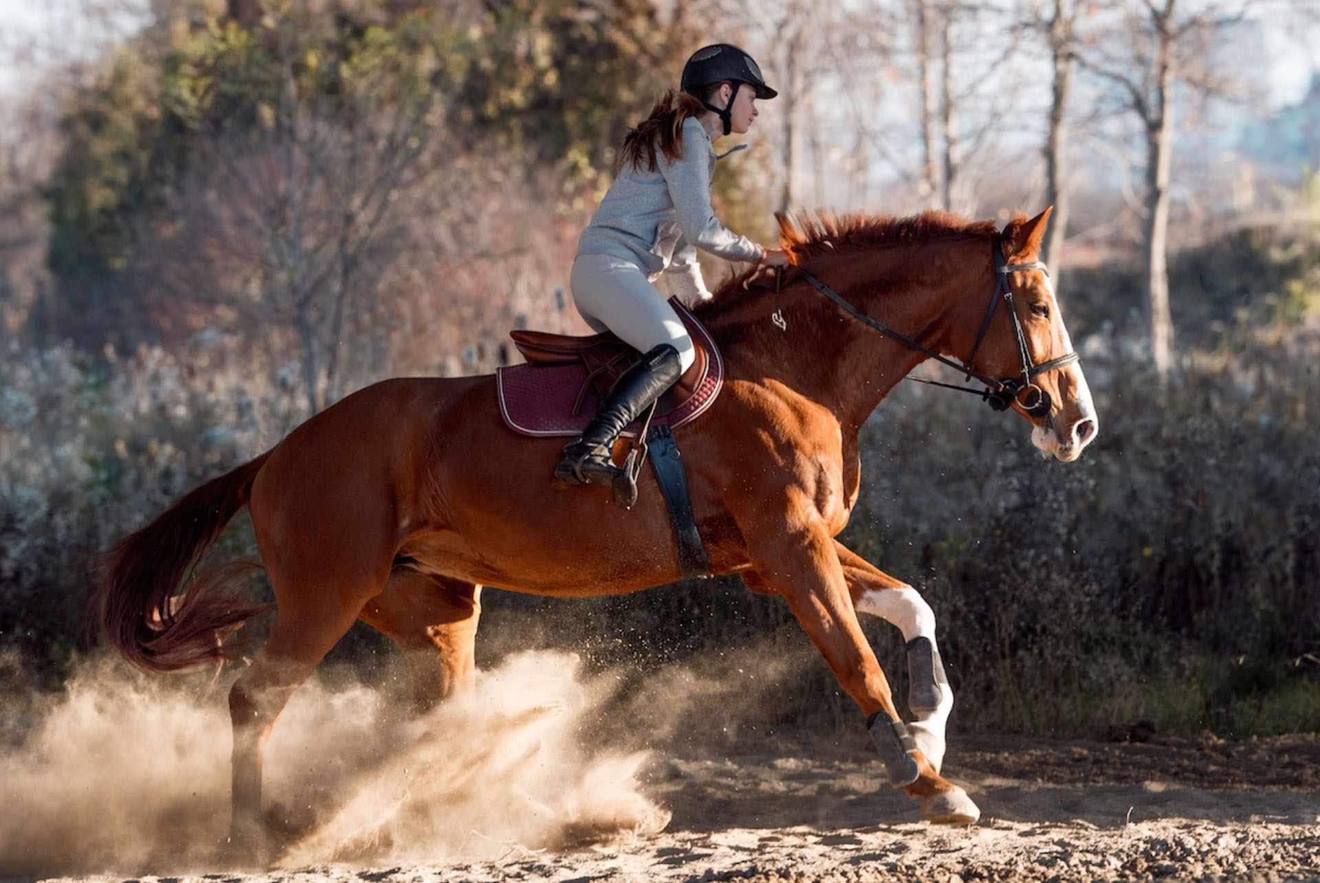 How Fit Is Your Horse?