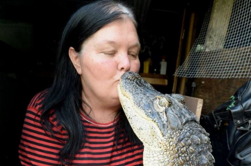 Cocodrilo de dos metros convive con mujer en La Florida