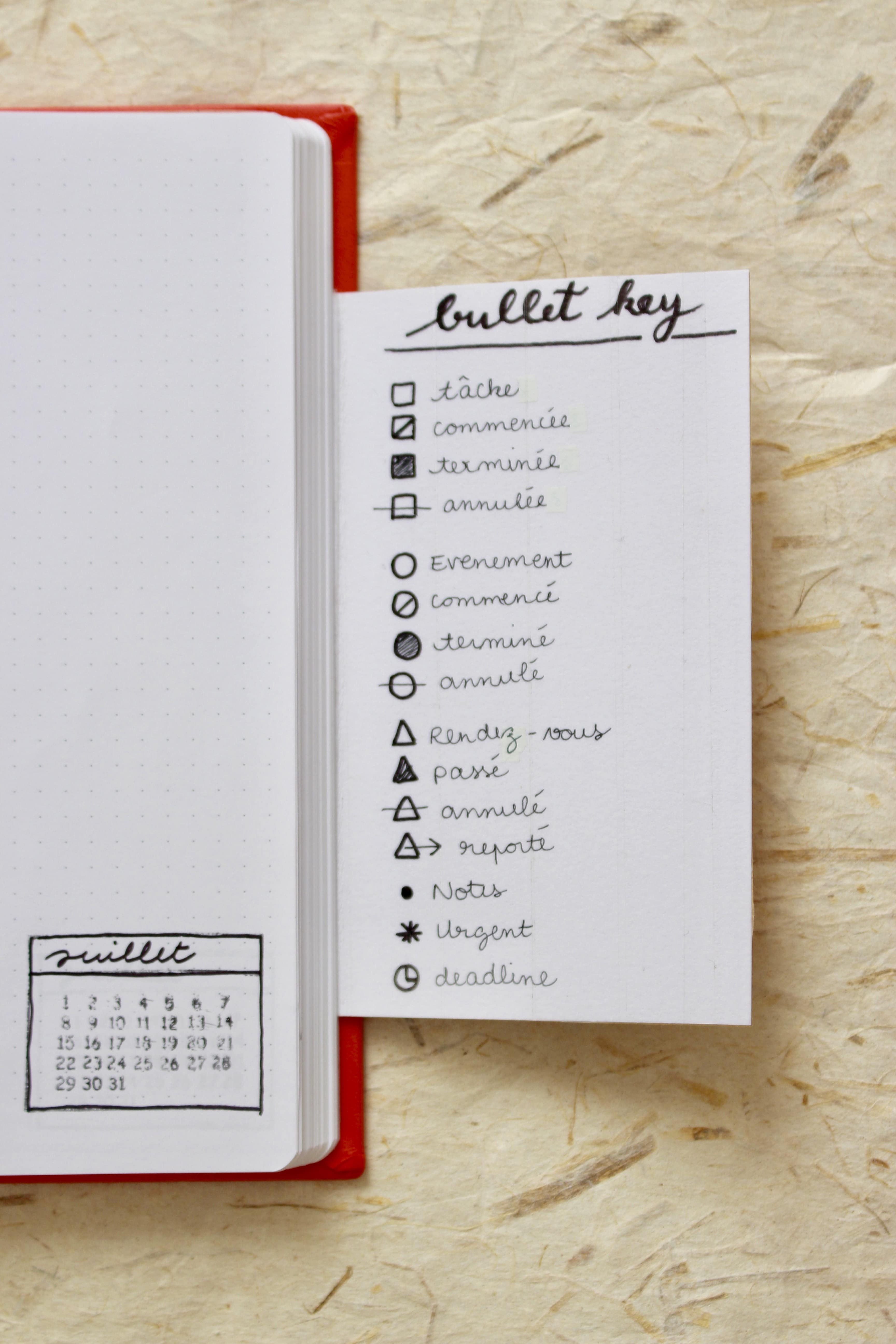 Comment et pourquoi faire un Bullet Journal ? La ptite noisette
