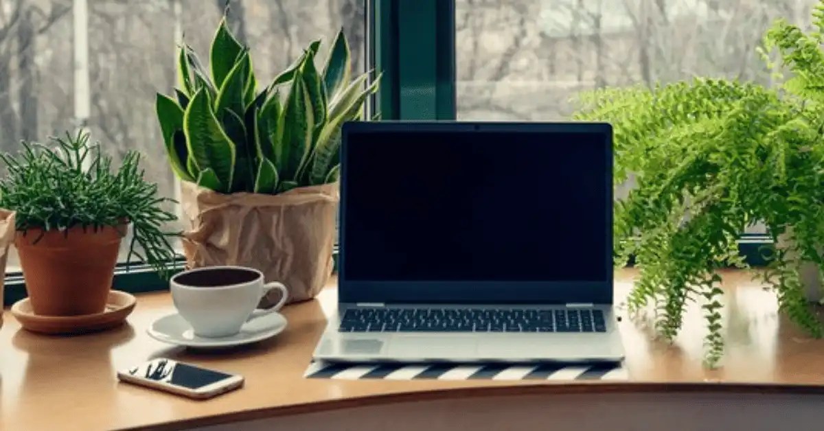 Lenovo Laptop Black Screen on Startup (Fix In 5 Min.)