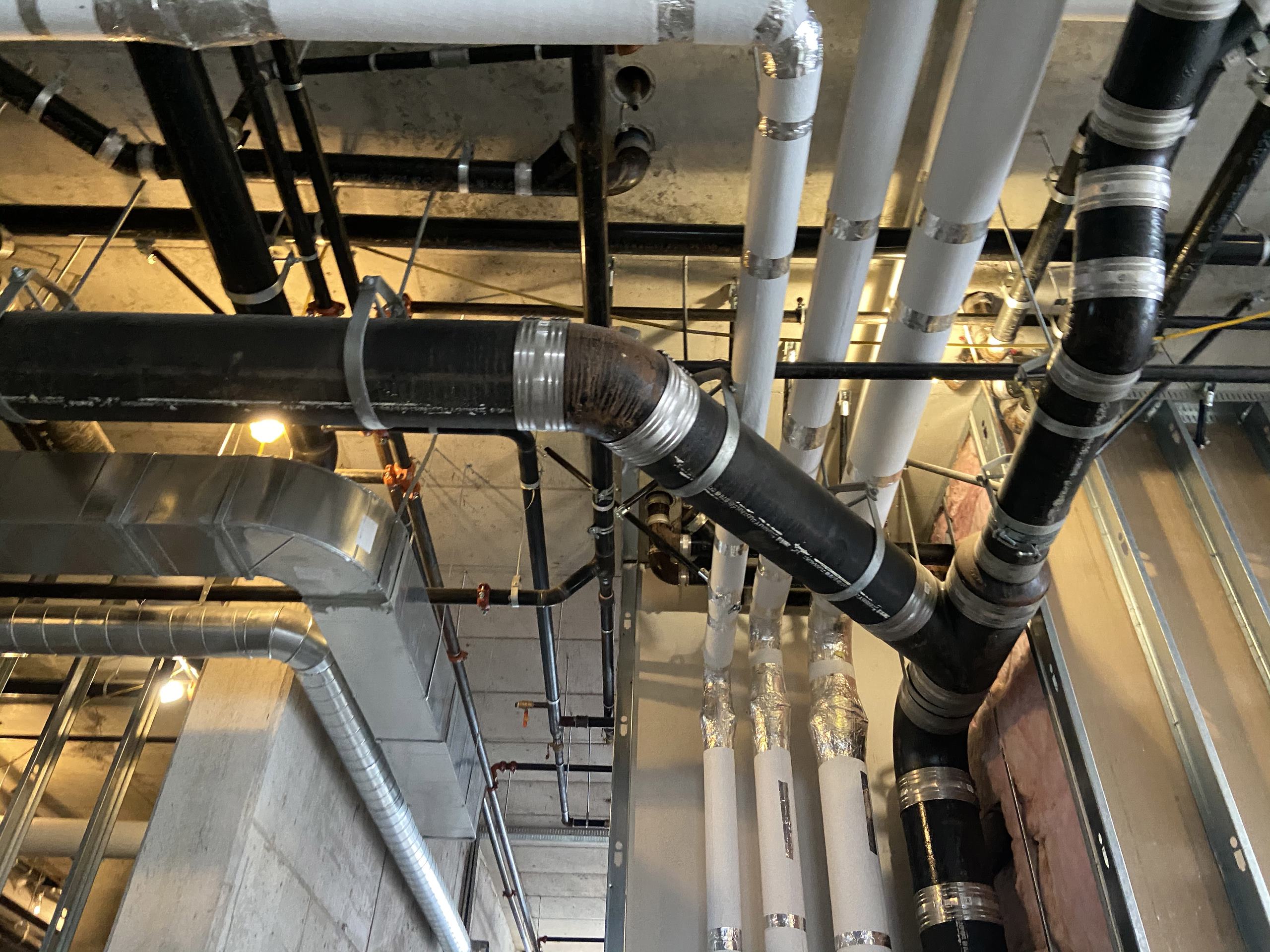 LARMEX PULSE February 2022 LarMex