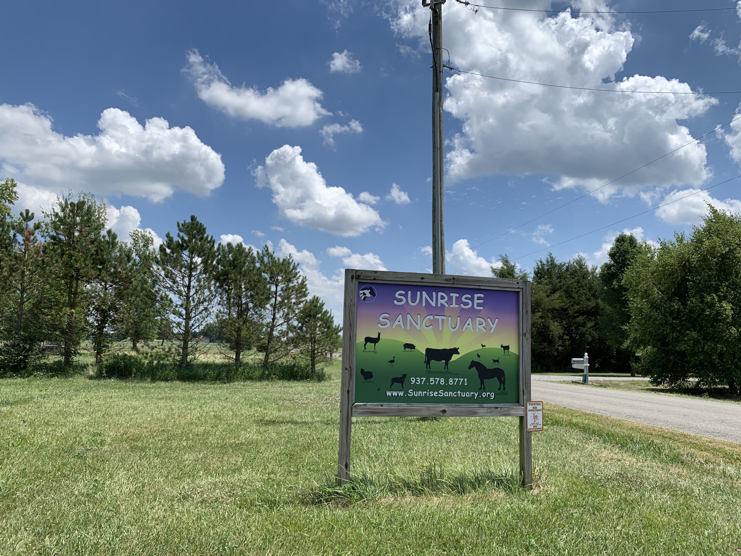 A peaceful farm day at Sunrise Sanctuary Midlife Mama