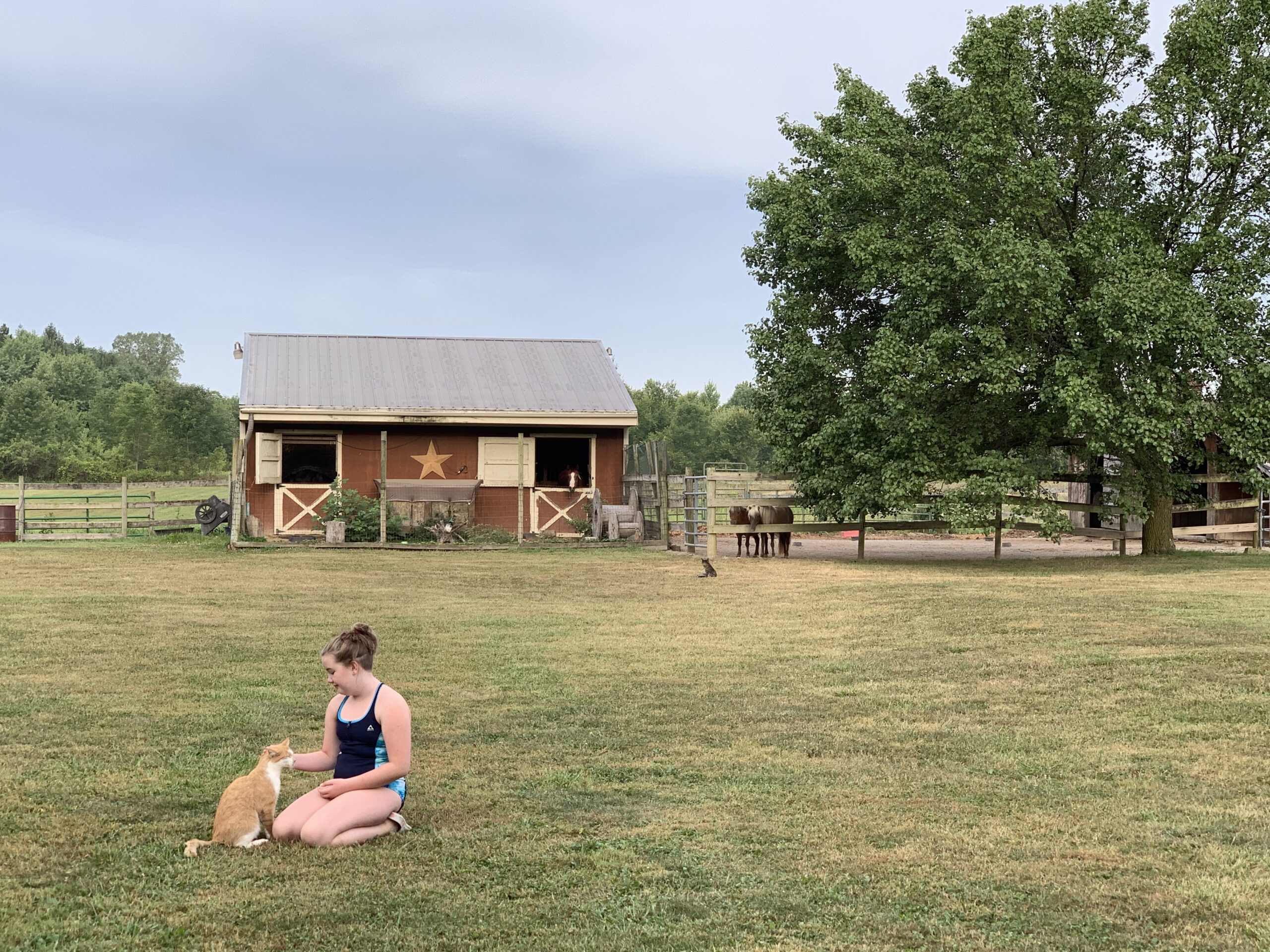 We found the AirBnB animal farm of our dreams Midlife Mama