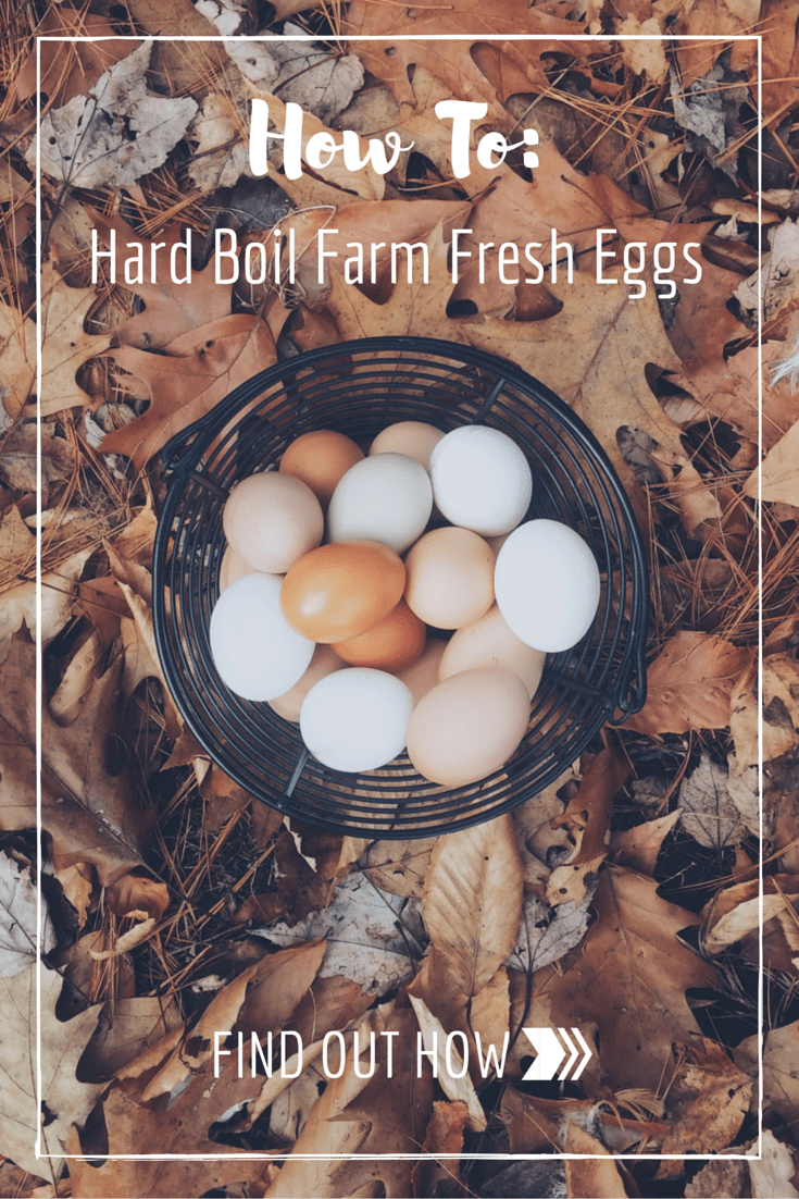 How to Boil Farm Fresh Eggs So They Peel Easily
