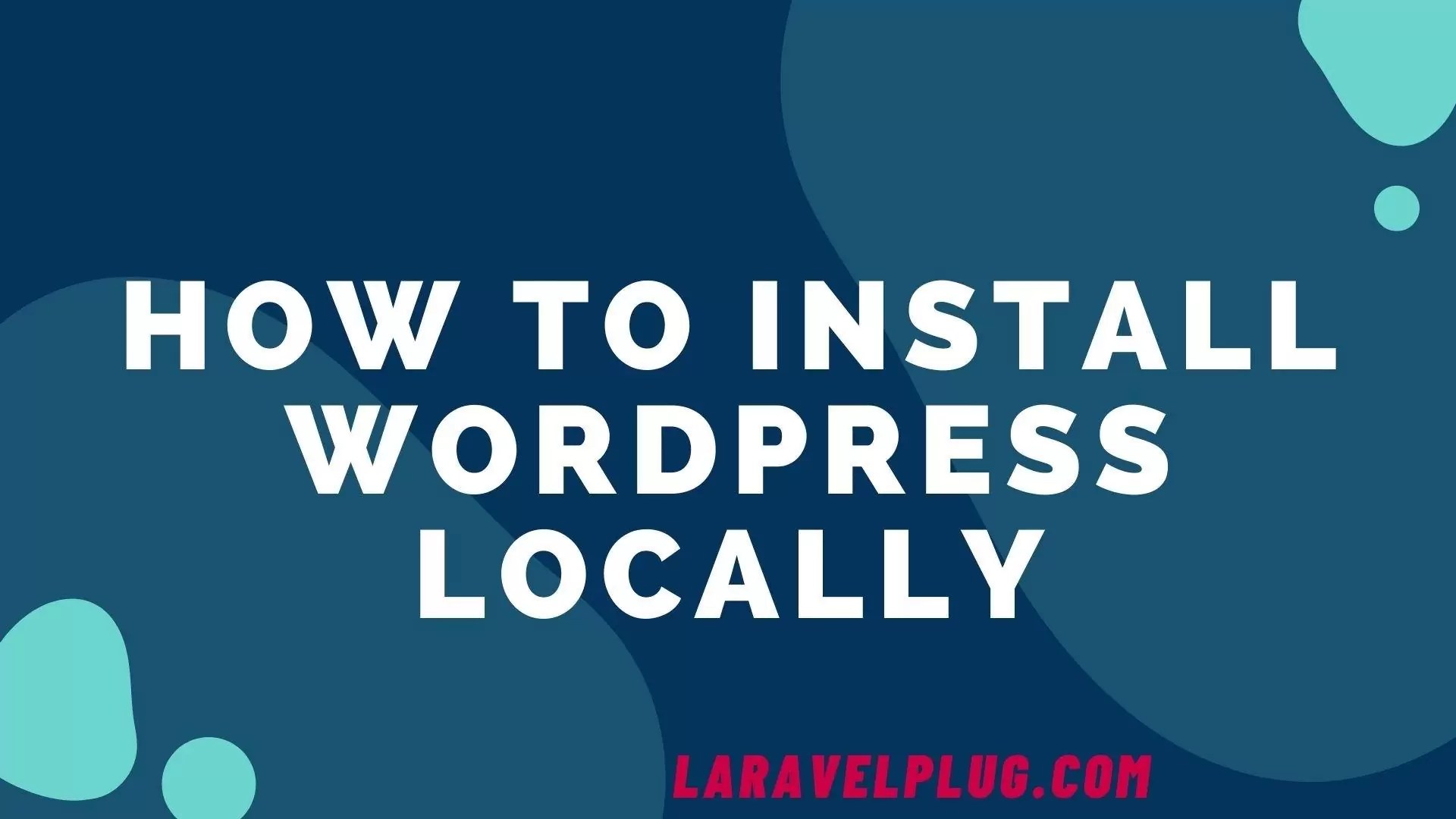 How To Install WordPress Locally Laravel Plug